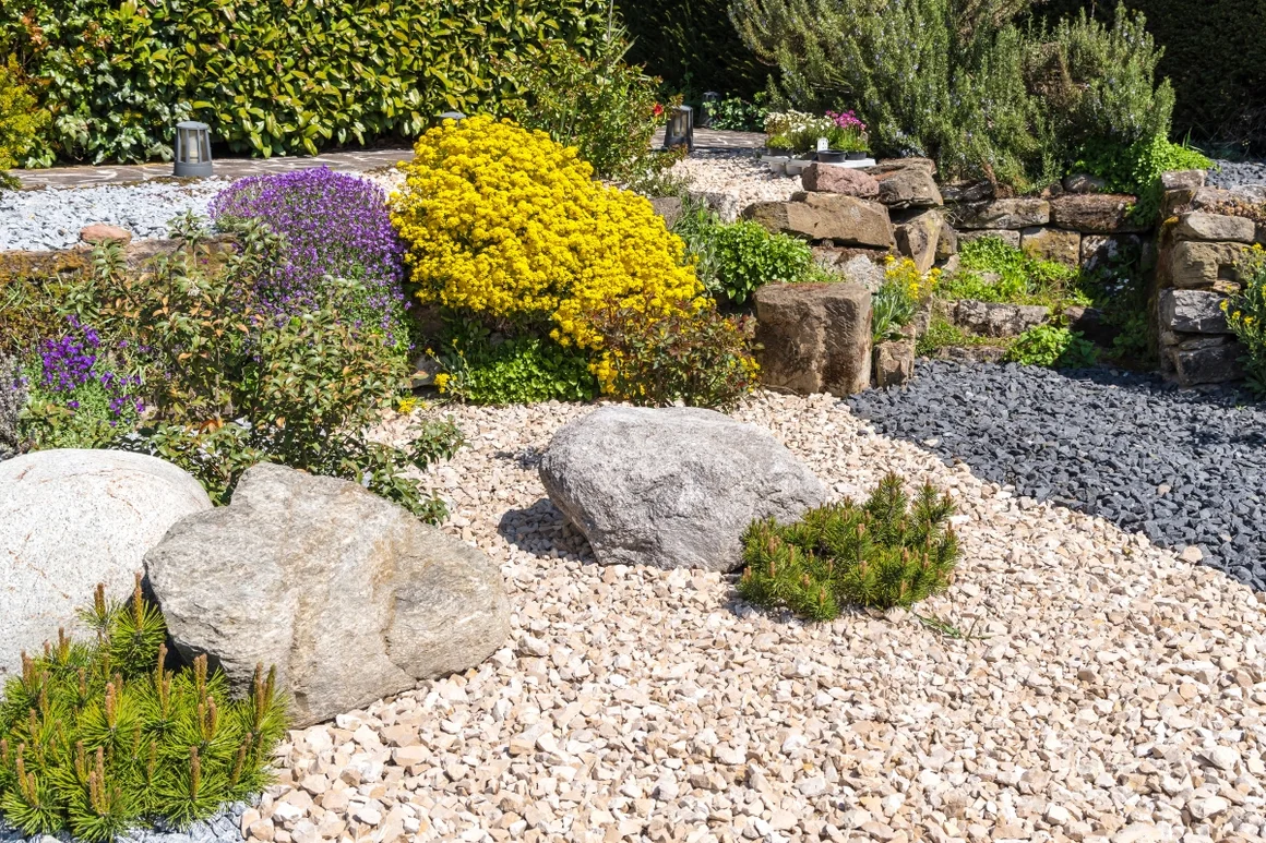 Steingarten mit blühenden Pflanzen